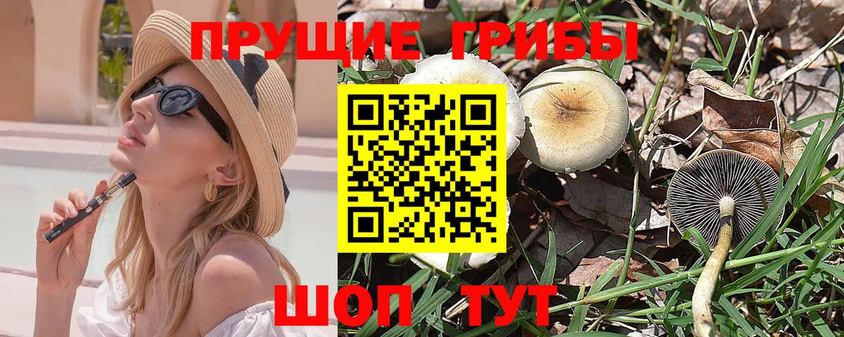 Алушта  Галлюциногенные грибы Magic Shrooms  Вход с VPN  Галлюциногенные грибы MAGIC MUSHROOMS 