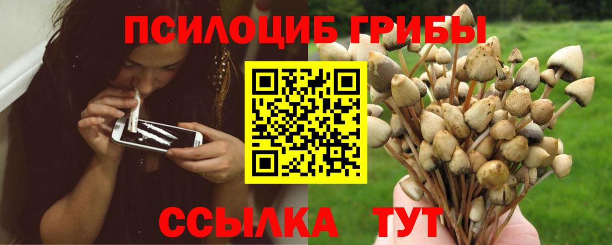Галлюциногенные грибы GOLDEN TEACHER Алушта
